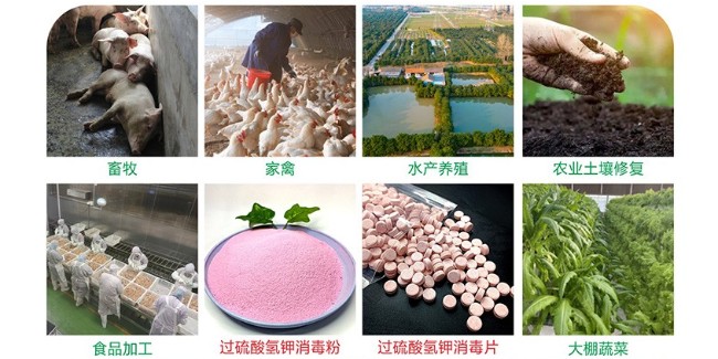 深耕匠心製劑，賦能綠色未來——開封恩科生物，單過硫酸氫鉀實力生產廠家