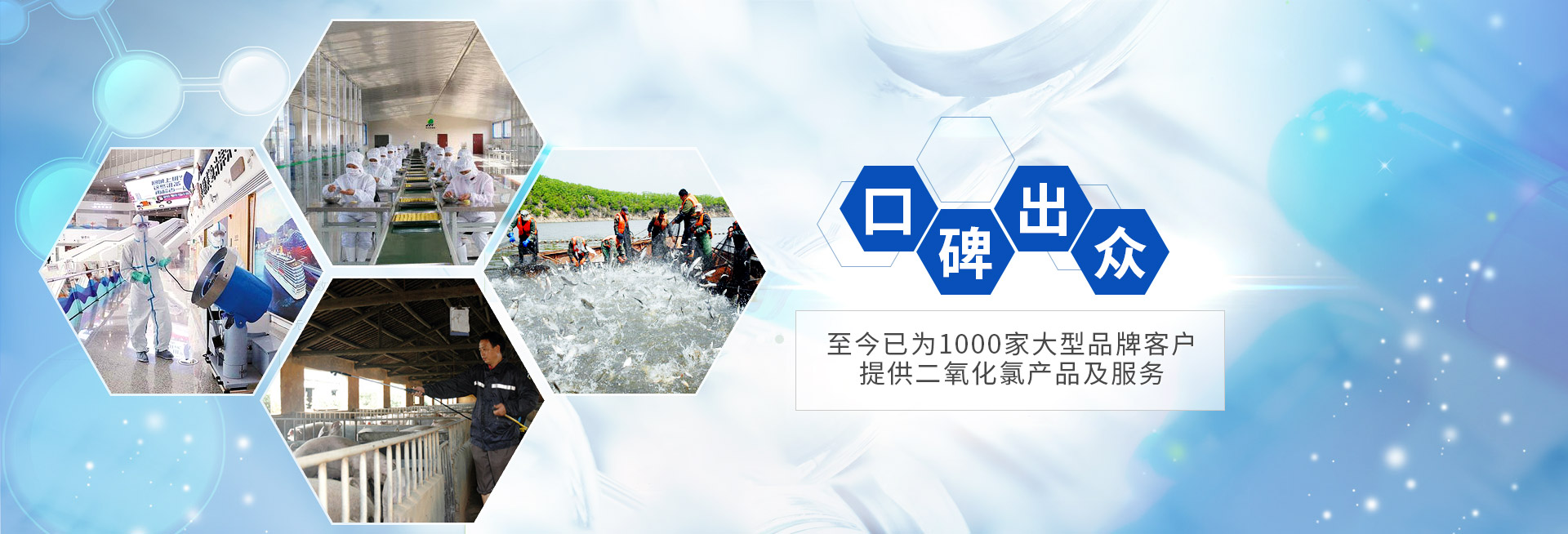 恩科生物口碑出眾